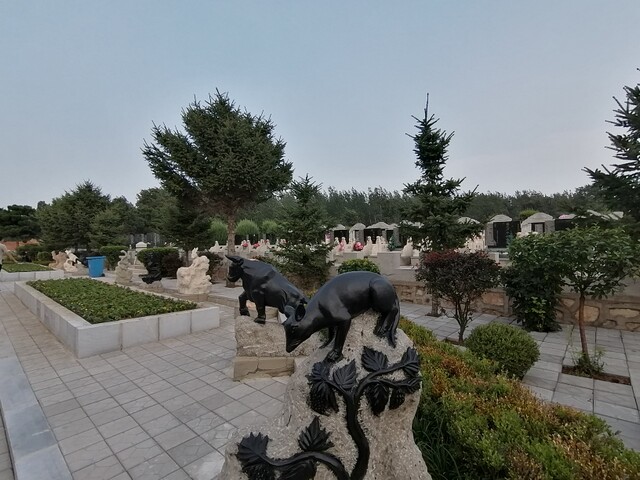景观